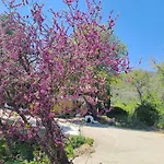 Nick'S Apartments Evia * Achladi
