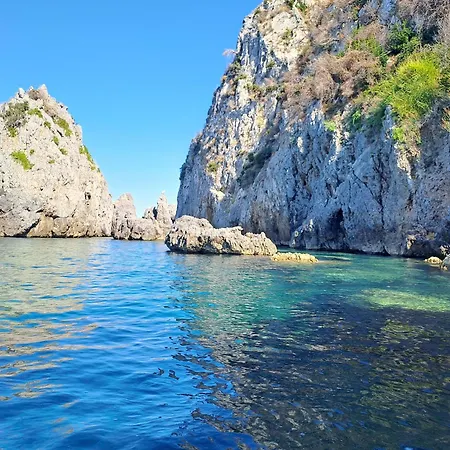 Nick's Evia Achladi